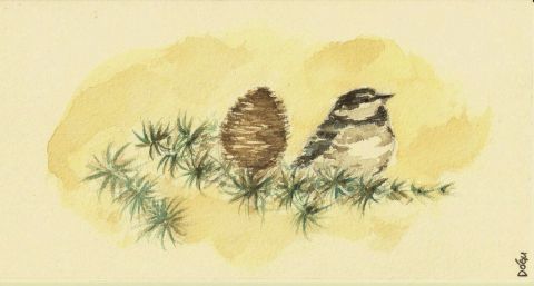 La mésange et le cèdre